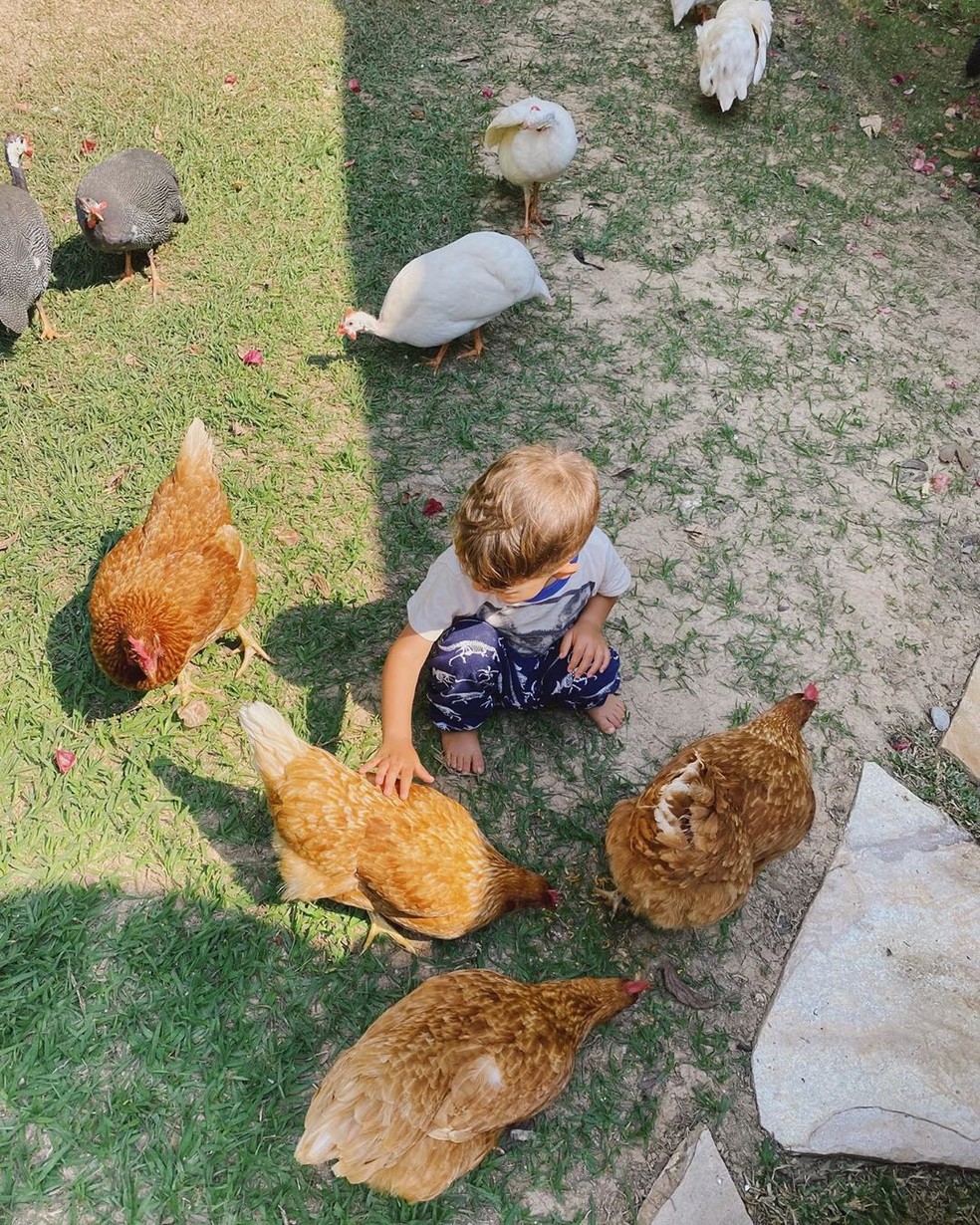 Otto faz 3 anos e ganha homenagem do pai, Junior Lima, nas redes  — Foto: Reprodução/Instagram