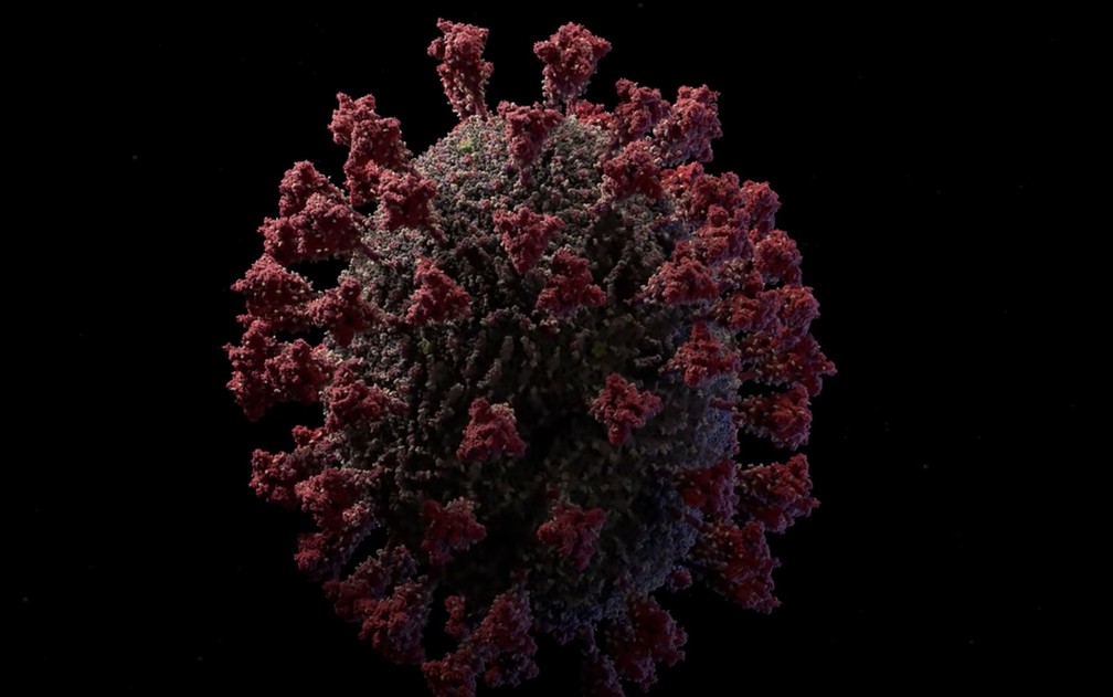 Modelo 3D do Sars-Cov-2, o novo coronavírus — Foto: Reprodução/Visual Science 