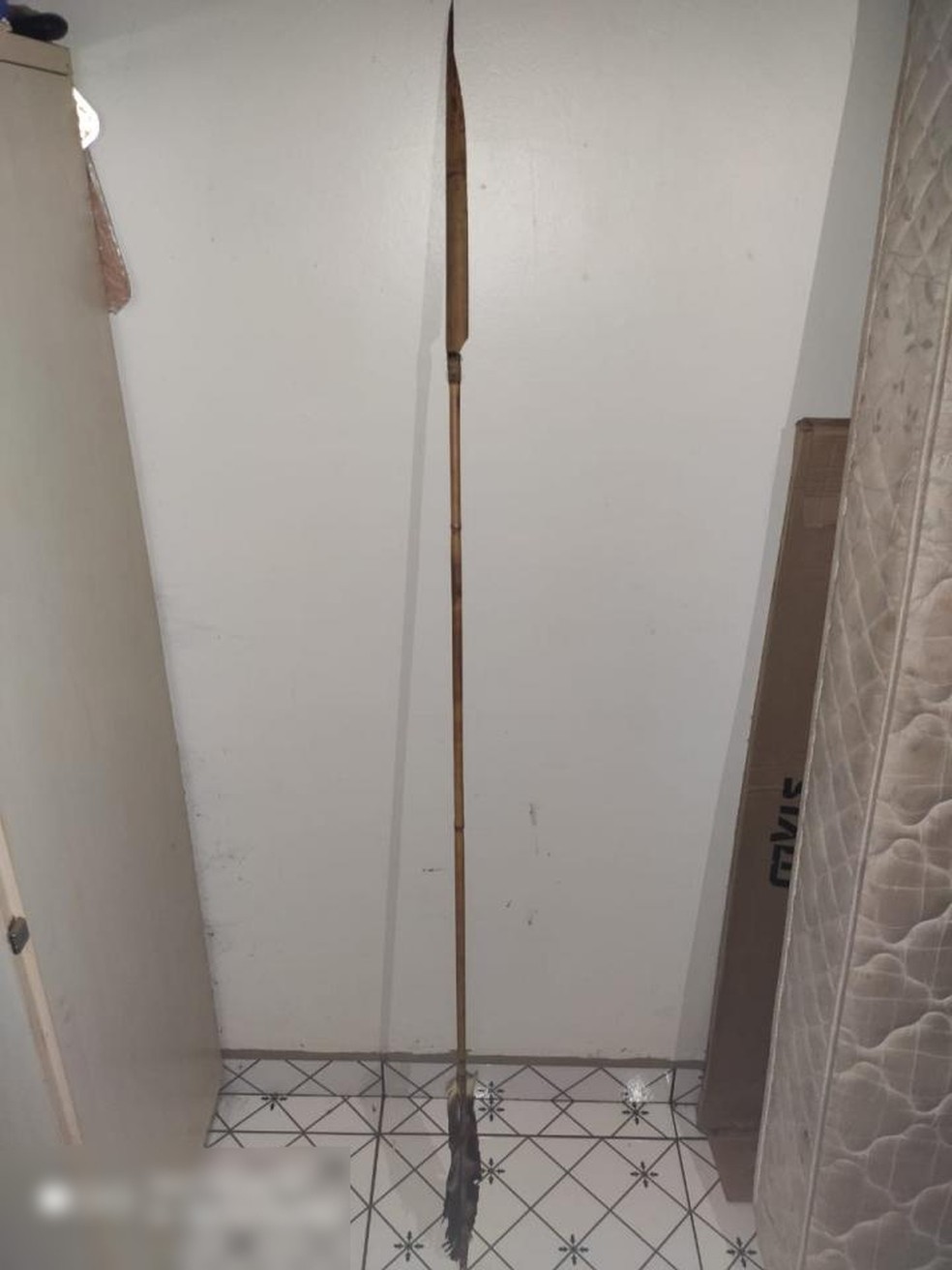 Flecha de 1,5 metro que matou o indigenista Rieli Franciscato em Rondônia, é feita de bambu e penas de aves — Foto: Divulgação