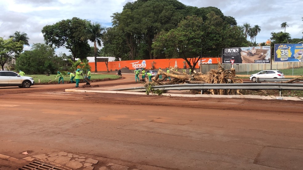Equipes realizam multiro de limpeza na Avenida Ernesto Geisel  Foto: Fbio Rodrigues 