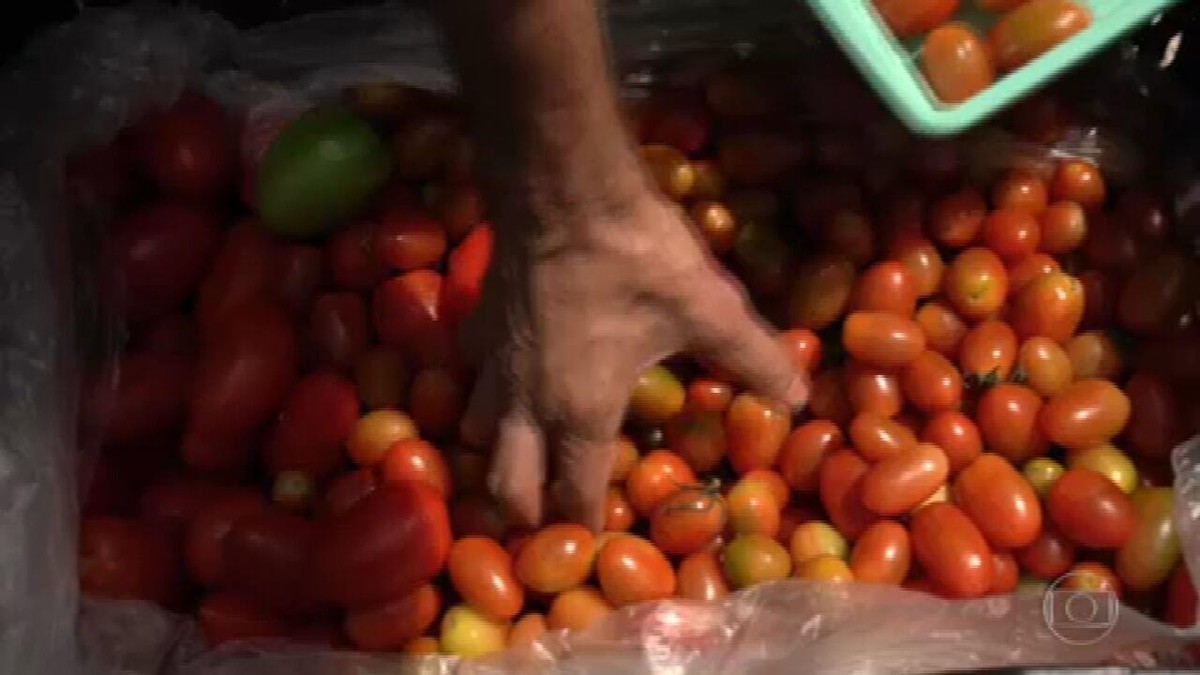 Iniciativas tentam reduzir preços de alimentos para população de baixa renda thumbnail