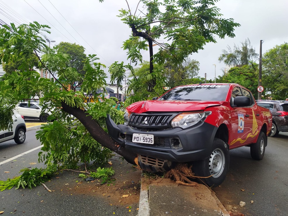 Carro da Defesa Civil do Ceará colide com veículo e árvore em Fortaleza. — Foto: Brenda Albuquerque/SVM