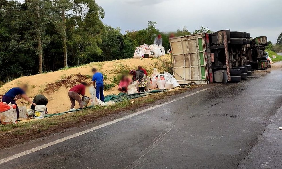 Carga de farelo de soja foi saqueada após caminhão tombar na BR-277, segundo a PRF — Foto: Portal Notícia Aberta/Fabrício Eduardo