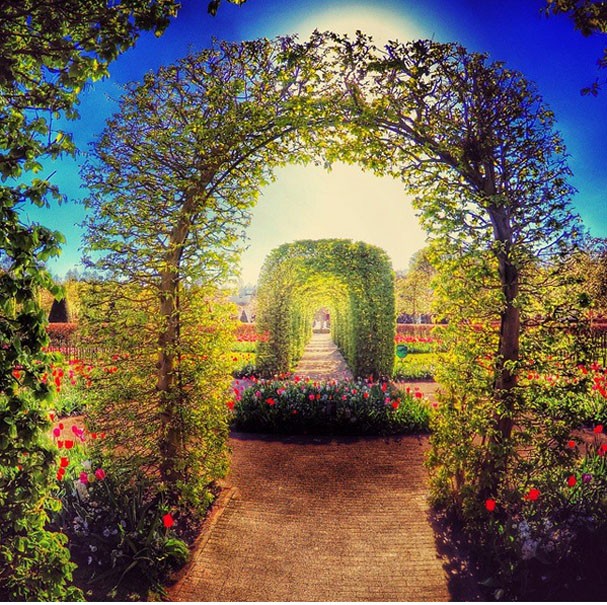 Jardins incr (Foto: Instagram/ Reprodu)