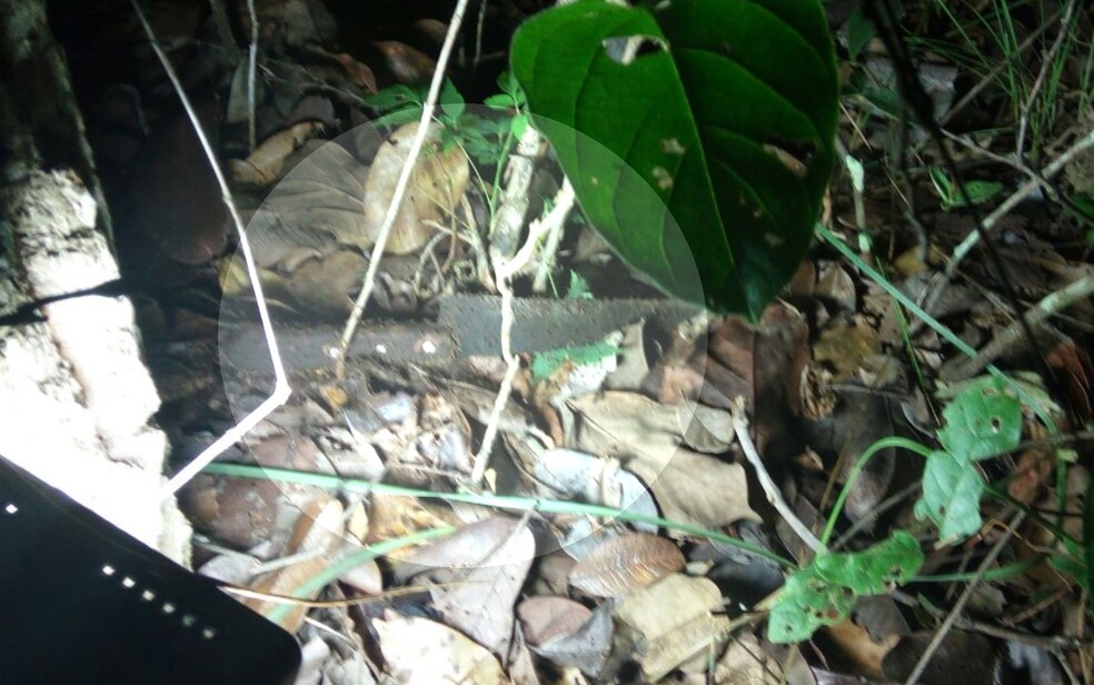 Faca usada no crime foi encontrada perto do corpo da vítima — Foto: Divulgação/ Polícia Civil