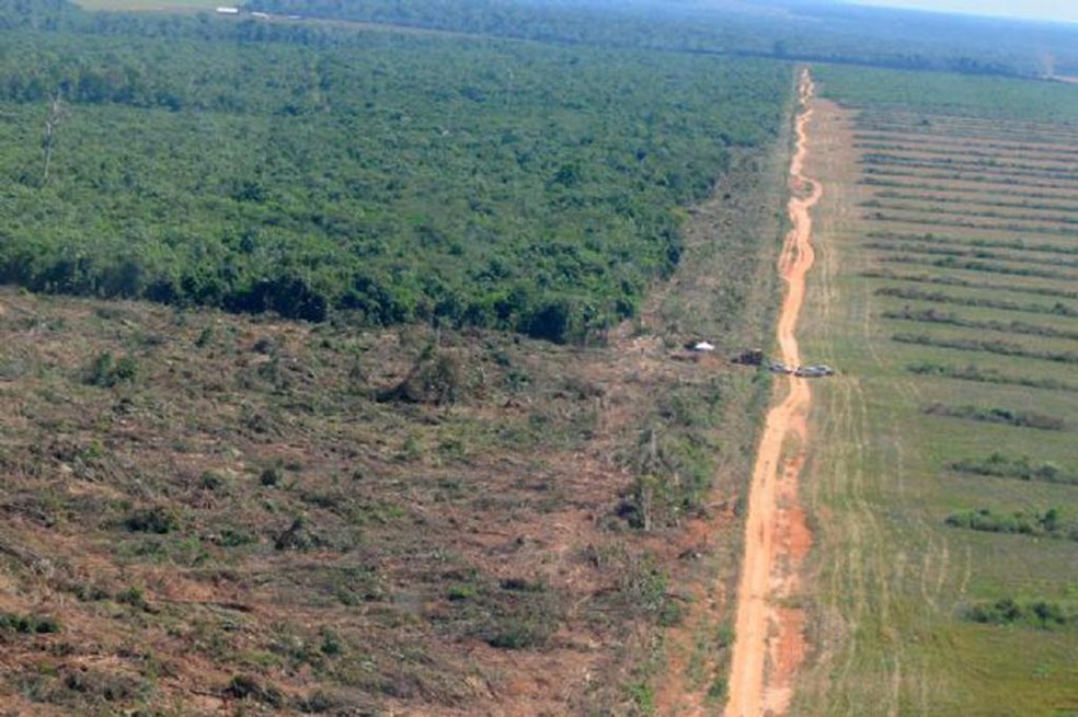 Desmatamento em Mato Grosso aumentou — Foto: Secom-MT