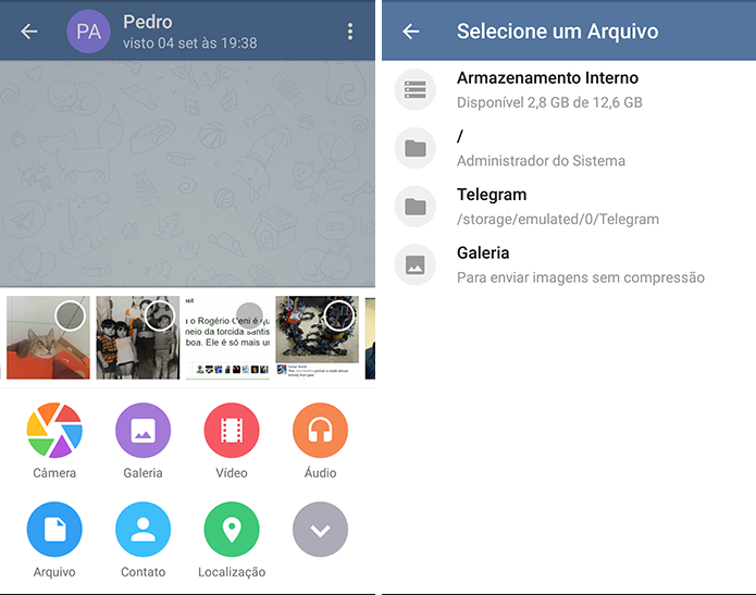 Telegram é mais versátil na troca de mensagens e envio de arquivos (Foto: Divulgação)