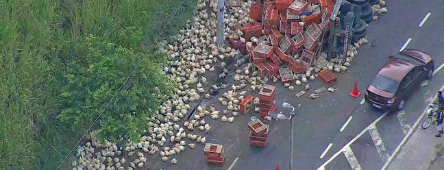 Caminhão com galinhas tomba na Zona Oeste do Rio — Foto: Reprodução/TV Globo