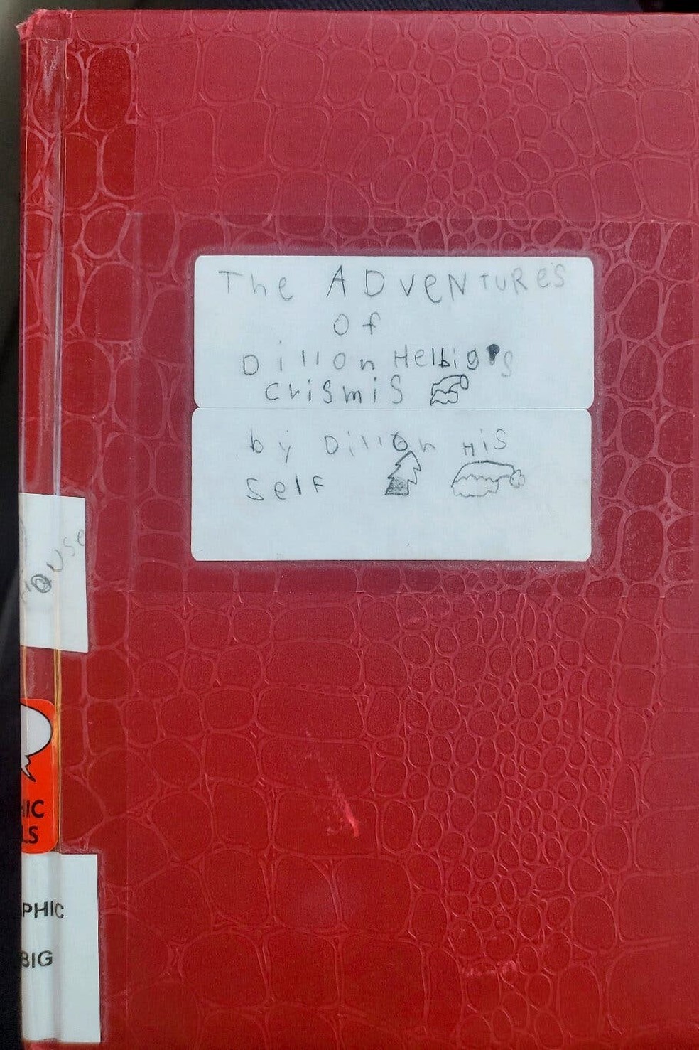 asomadetodosafetos.com - Menino de 8 anos coloca seu livro escrito à mão em estante de biblioteca faz sucesso com lista de espera de 5 anos