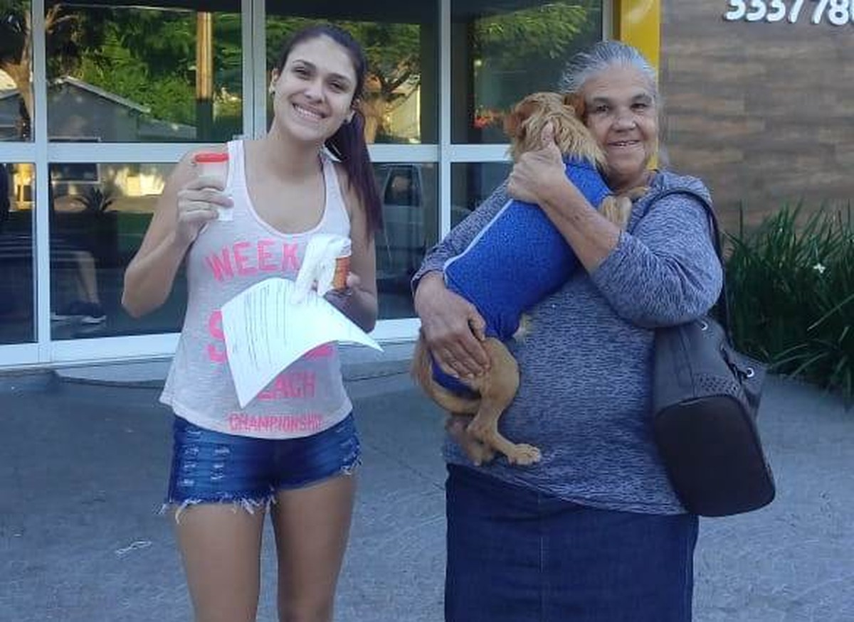 Cachorro Castrado Com Canivete E Sem Anestesia Em Araraquara Tem Alta E Se Recupera Em Casa Sao Carlos E Araraquara G1