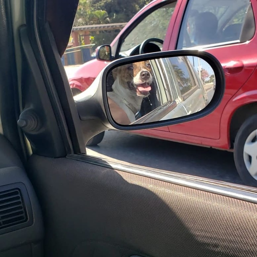 O sorriso da felicidade refletido no retrovisor a caminho de casa — Foto: Gabriela Vieira Avelar/Arquivo pessoal