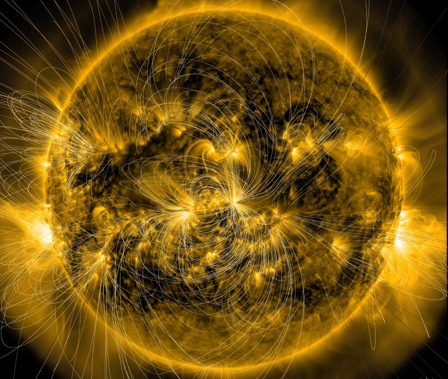 Mapa magnético do Sol (Foto: Divulgação/Nasa)