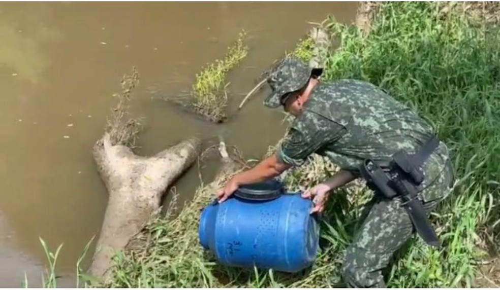 Resgate e soltura de animais silvestres foi uma das principais demandas da Polícia Ambiental, segundo balanço de 2020— Foto: Polícia Ambiental/Divulgação