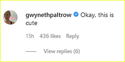 Comentário de Gwyneth Paltrow (Foto: Reprodução/Instagram)
