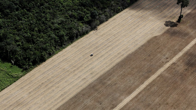Plantação de trigo perto de Santarém, no Brasil (Foto: REUTERS/Nacho Doce)