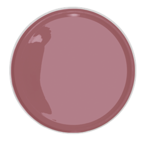Cortina de teatro é o nome da cor escolhida pela Suvinil. O tom, que mistura vermelho e violeta, é o mesmo encontrado na brasilina, um corante extraído do pau-brasil. A partir de R$ 104,99 o galão de 3,6 L (Foto: Divulgação)