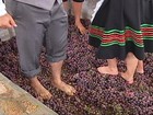 Turistas revivem a tradição da pisa da uva em propriedades de São Paulo