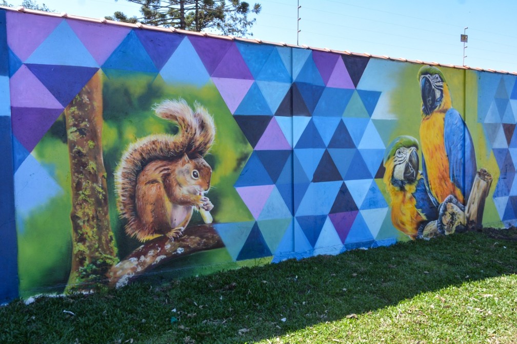 Artista disse que usou várias técnicas, como air brush e pincel, para pintar muro. — Foto: Fábio Cristiano/Prefeitura de Pinhais