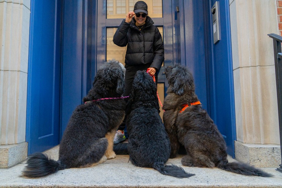 Bethany Lane começou a passear com cães em Manhattan depois de responder a um anúncio do Craigslist
