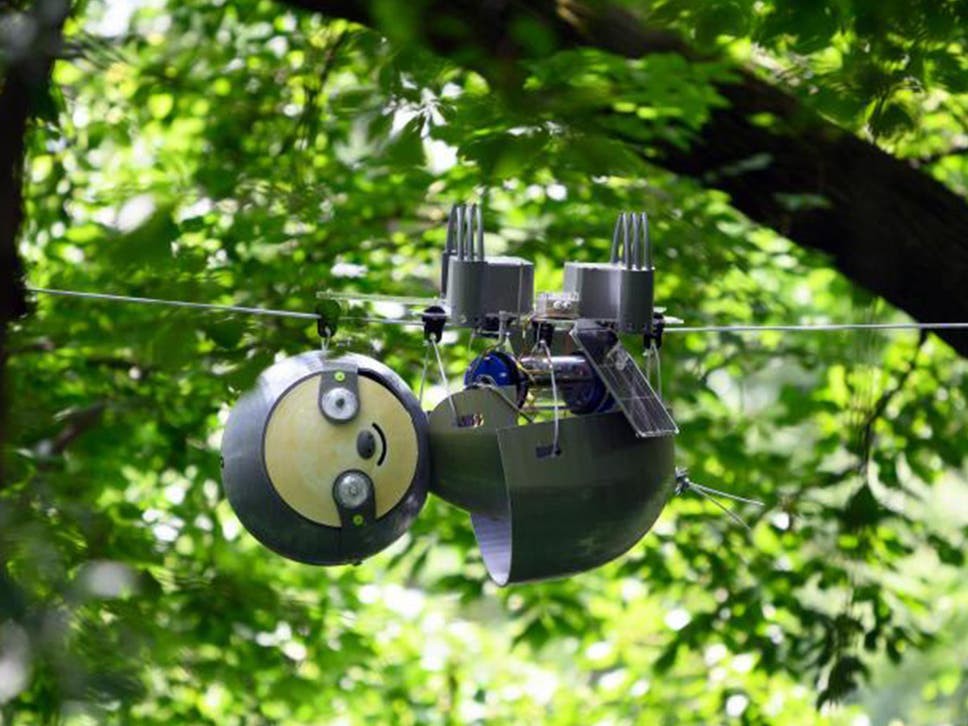 Robô fofinho vai ajudar a monitorar espécies ameaçadas (Foto: Georgia Tech)