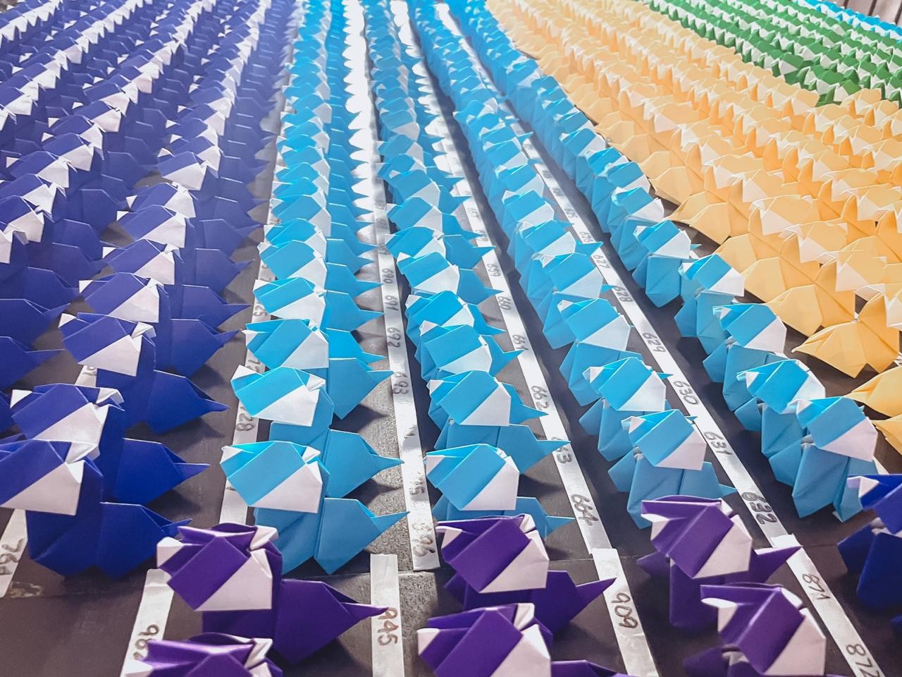 Brasileiros batem recorde mundial por cães de origami (Foto: Guinness World Records)