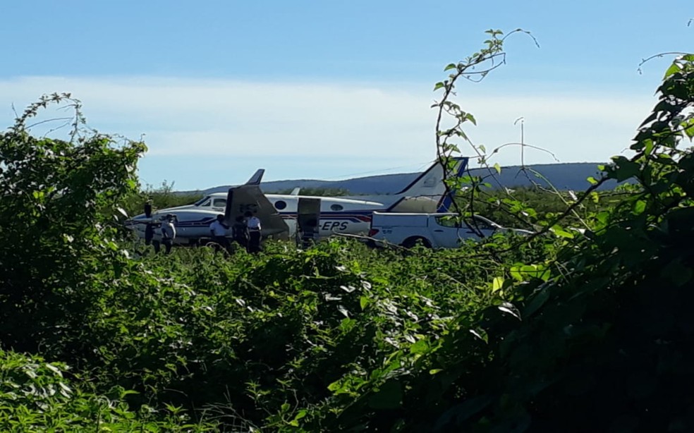 Avião com doses da vacina da Covid-19 bate em jumento que estava em pista de aeródromo da Bahia