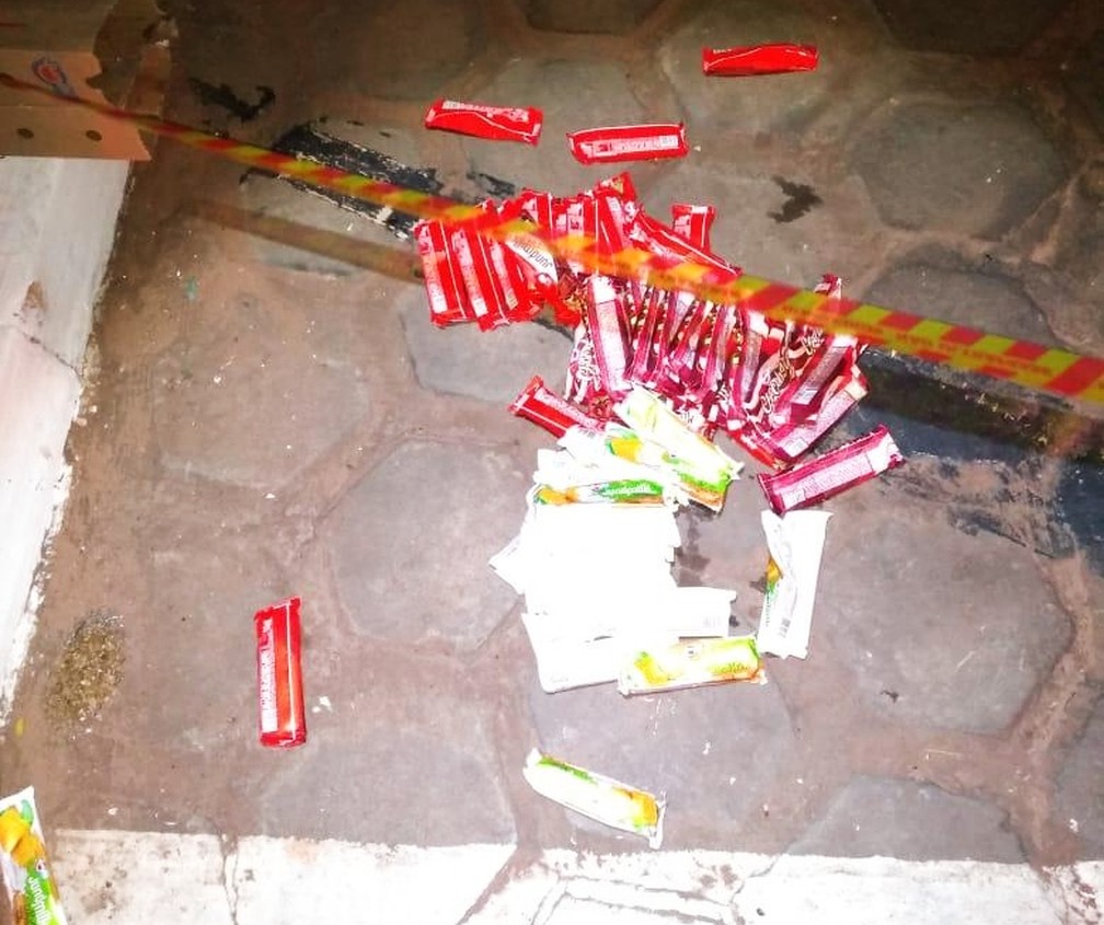 Policiais encontraram sorvetes ainda gelados ao lado do corpo da mesma marca existente em loja que foi furtada na região — Foto: Polícia Civil/Divulgação