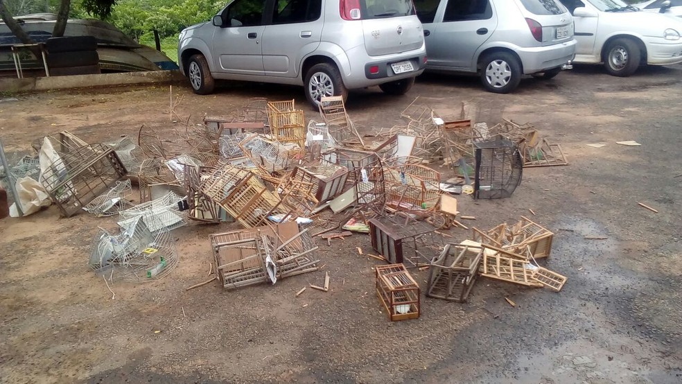 Gaiolas apreendidas foram destruídas em Presidente Prudente (Foto: Cedida/Polícia Militar Ambiental)