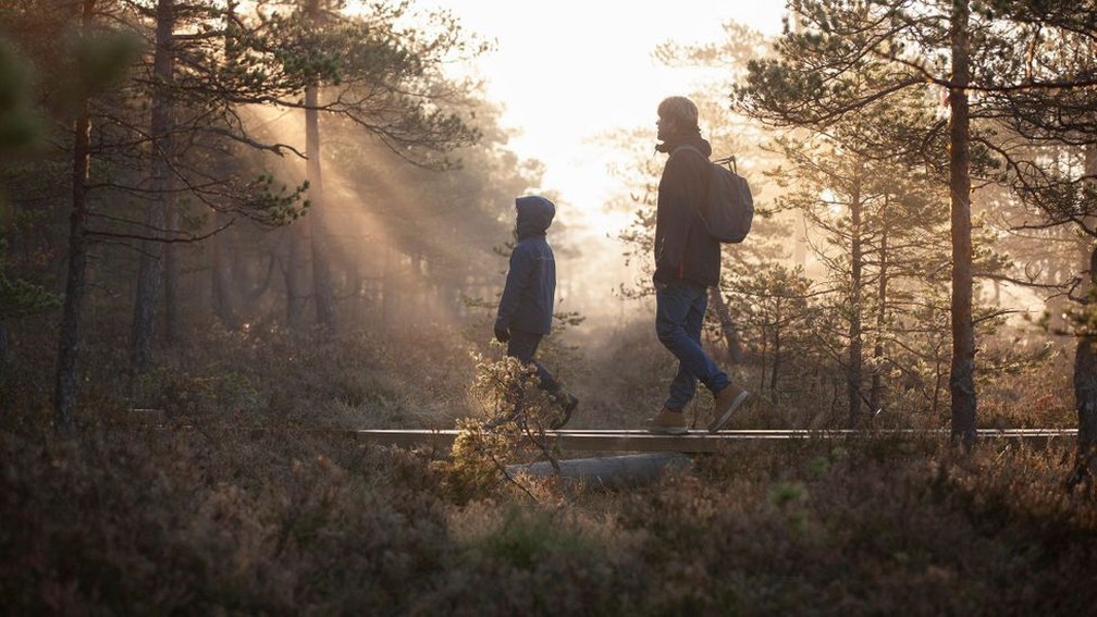 As famílias podem facilmente estar em contato com a natureza na Finlândia, uma vez que as florestas cobrem mais de 70% do território — Foto: Tiina & Geir/Getty Images