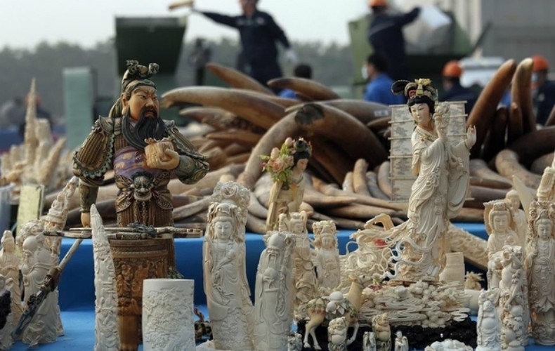  China promove destruição pública de marfim (Foto: Reprodução/BuzzFeed)