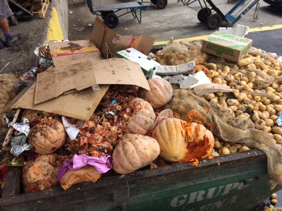 Imagens de comida desperdiçada no Ceasa, em São Paulo — Foto: Amelia Gonzales/G1