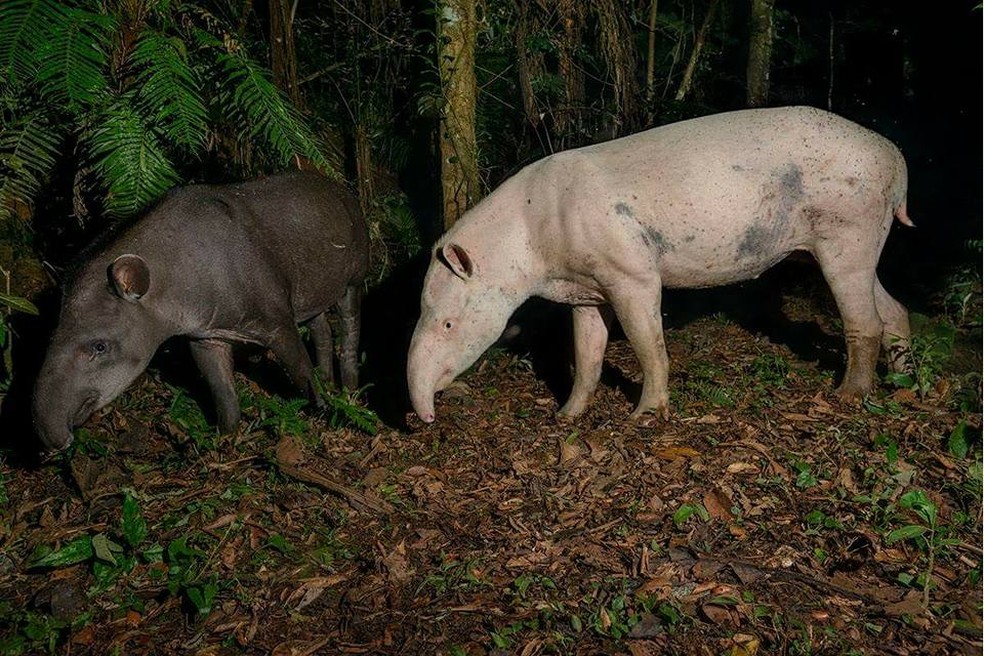 Casal fotografado por Luciano — Foto: Luciano Candisani/Legado das Águas