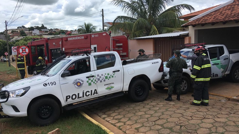 Bombeiros e policiais montaram um corredor de passagem por onde a onça-parda voltou à natureza — Foto: Carlos Volpi/TV Fronteira