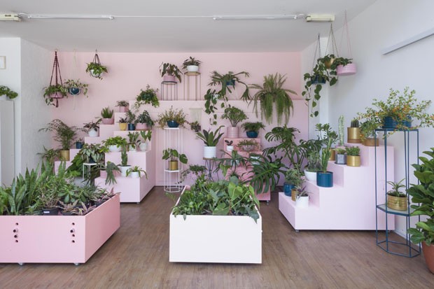 Plantas, informação e design: a nova loja da Selvvva, em SP (Foto: Divulgação)