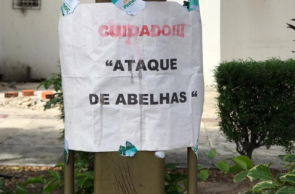 Mensagem alerta para ataques de abelha em praça no Centro de Fortaleza — Foto: SVM