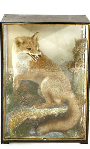 Rod Stewart leiloa raposa empalhada e itens exóticos de sua mansão (Foto: Divulgação)