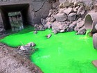 Água verde em córrego surpreende moradores de Piracicaba; veja fotos 