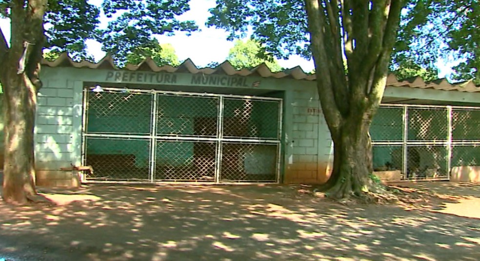 Canil improvisado em Santa Lúcia abriga 20 cães (Foto: Paulo Chiari/EPTV)