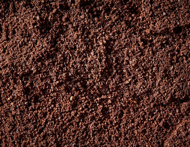 Top view of fertile garden soil. Background texture (Foto: Getty Images)