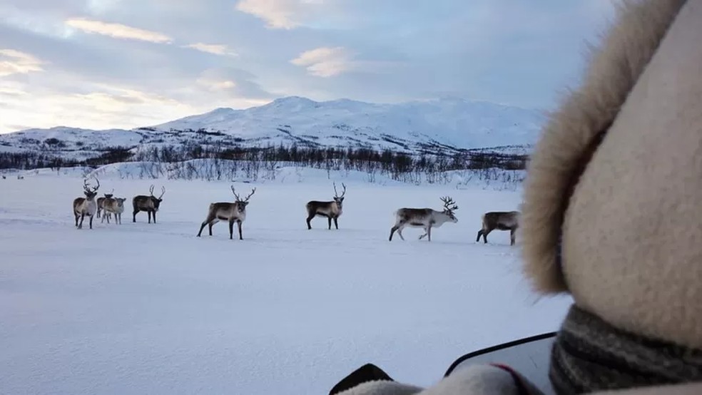 As estações do Ártico ditam o ritmo da vida das famílias de pastores de renas — Foto: GETTY IMAGES via BBC