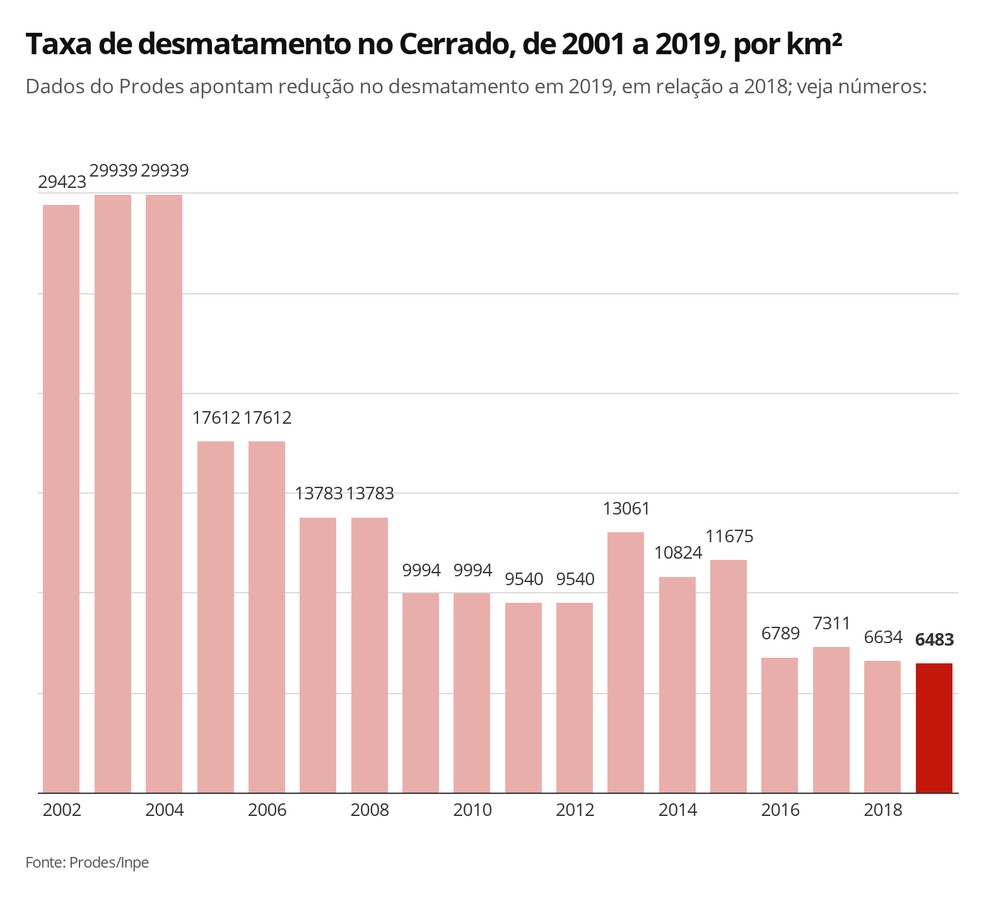 Dados do Prodes apontam queda de 2,26% no desmatamento no Cerrado de agosto de 2018 a julho de 2019  em relação ao mesmo período anterior. — Foto: Elida Oliveira/G1