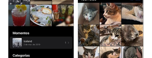 É possível encontrar objetos e animais na galeria do iOS com a ferramenta de busca