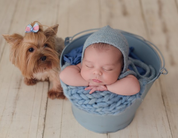 Bebê e o cãozinho da família (Foto: Cliks da Nina)