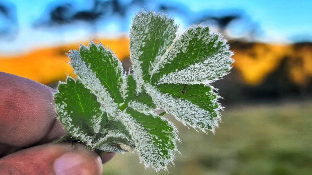 S&atilde;o Joaquim nesta sexta-feira &mdash; Foto: Mycchel Legnaghi/ S&atilde;o Joaquim Online