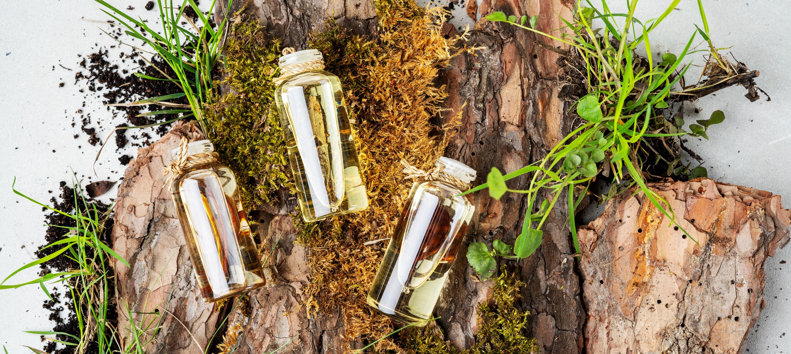 A natureza da aromaterapia (Foto: Getty Images)