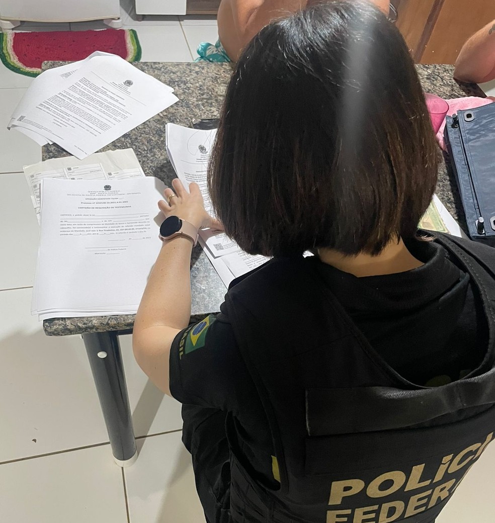 Operação da Polícia Federal iniciou após apreensão de madeira e agressão contra fiscal do Ibama — Foto: Polícia Federal/Divulgação