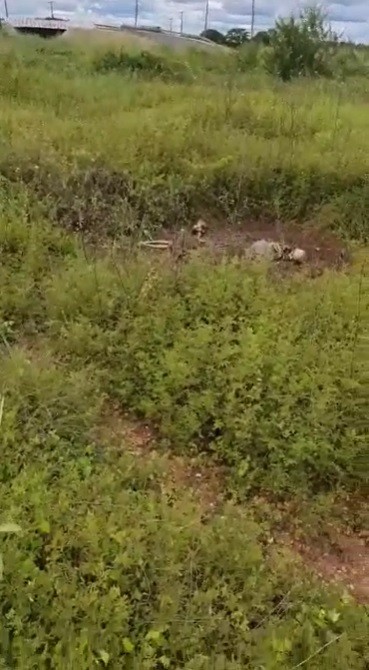 Ossada humana é encontrada em campo de futebol na Zona Sul de Teresina