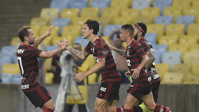 Everton Ribeiro, Pedro Michael Resende Flamengo