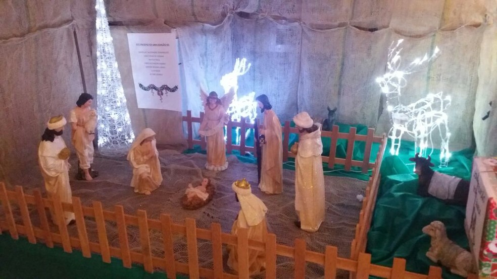 Decoração da casa de eletricista em Blumenau inclui presépio com renas iluminadas (Foto: Almir Arthur Boos/Arquivo pessoal)