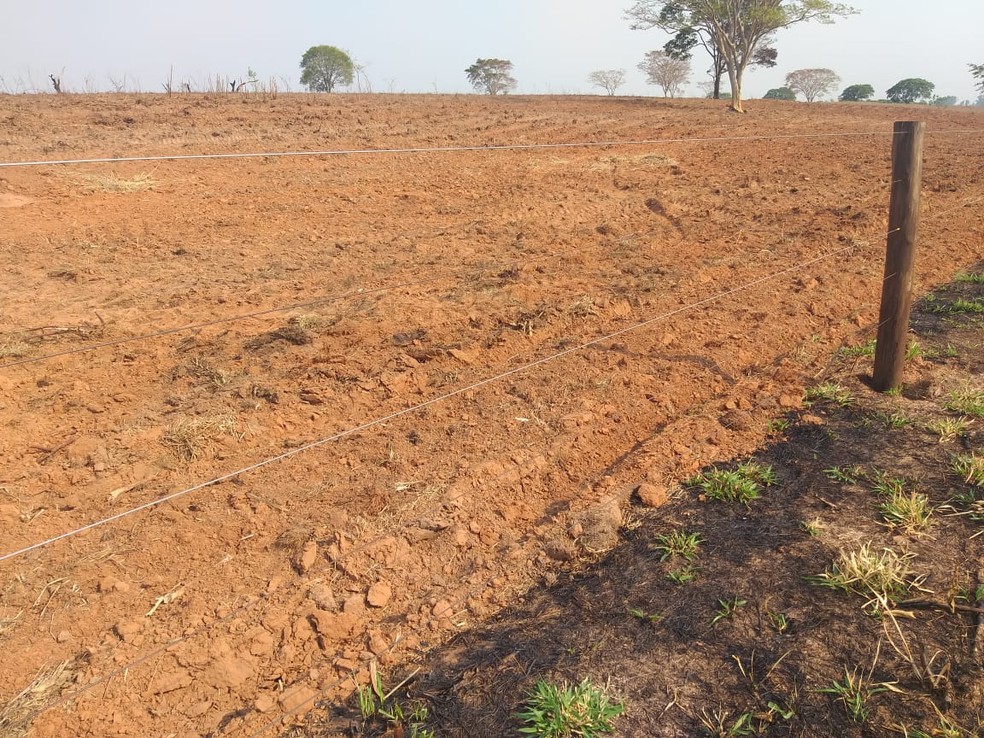 Sitiante recebeu multa por atear fogo em área de vegetação em Álvares Machado — Foto: Polícia Militar Ambiental